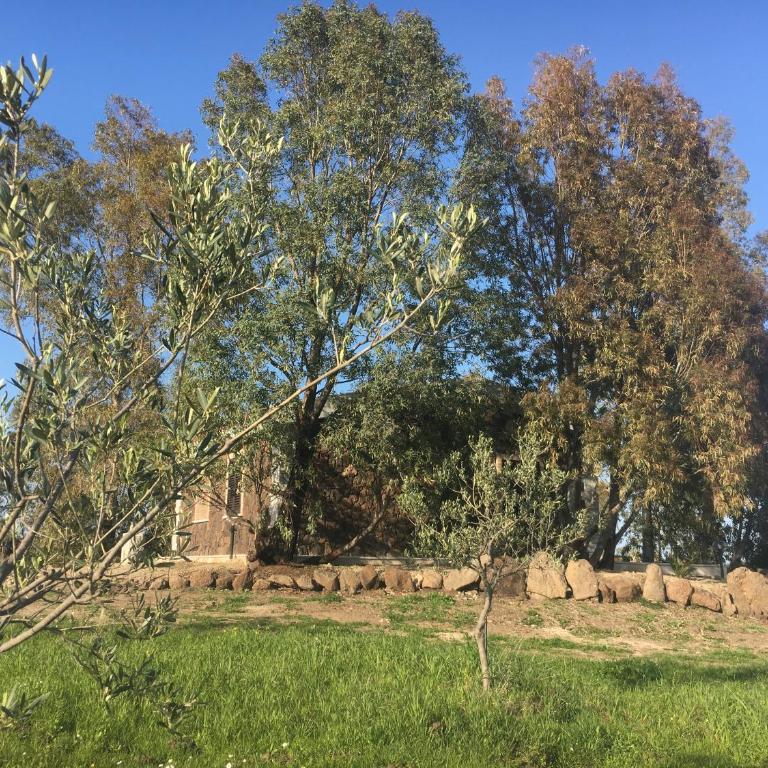 Sa Tanca de Su Catreathu - Casa con 2 Camere da Letto - 62
