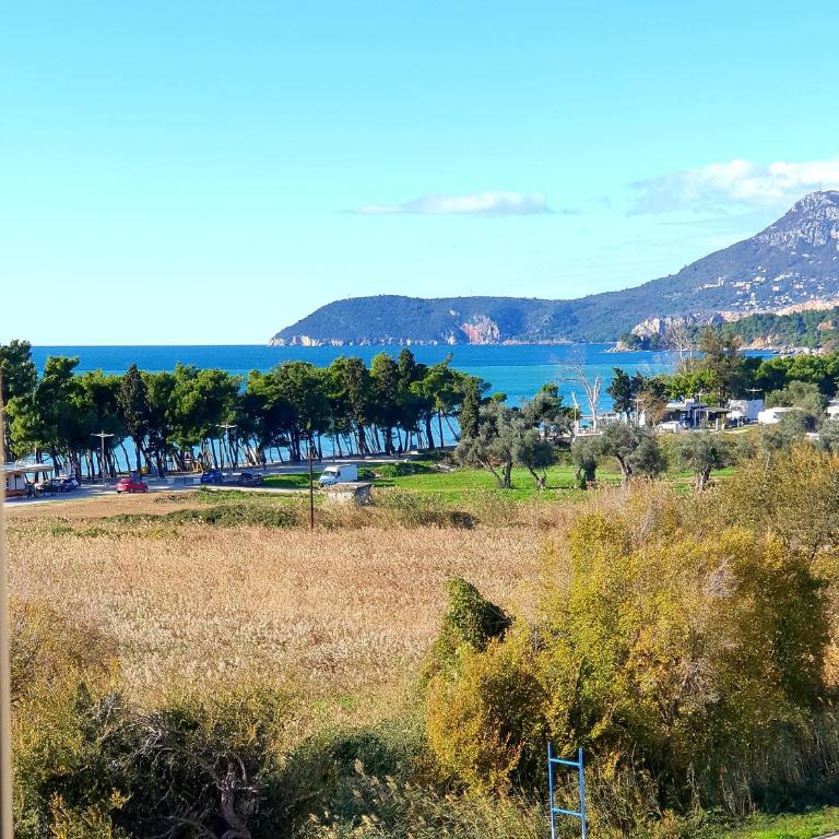 Aleksandar First Sea Line Apartment - Apartman sa 1 Spavaćom Sobom - 12