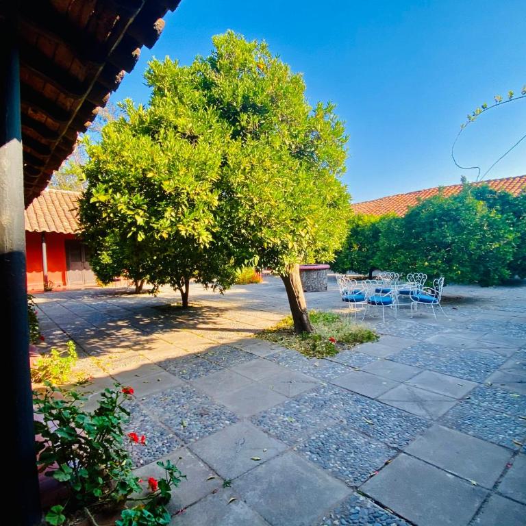 Casona Lo Aguirre - Suite Superior con cama extragrande - 49