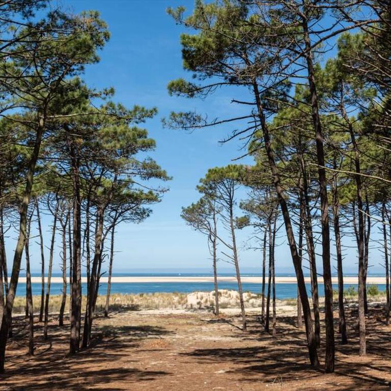 Les pignots Logement T2 Bassin Arcachon - Maison 1 Chambre - 14