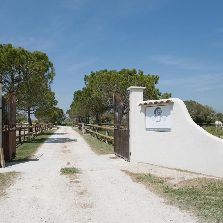 Mas Lou Caloun - Chambre d'Hôte face à la piscine en Camargue - Les Saintes Maries de la Mer - Doppelzimmer mit Poolblick - 4
