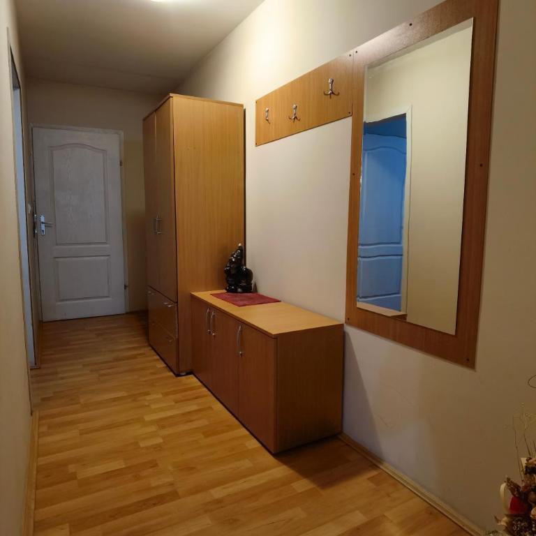 Apartmani Radivojević - Apartment with Balcony - 4
