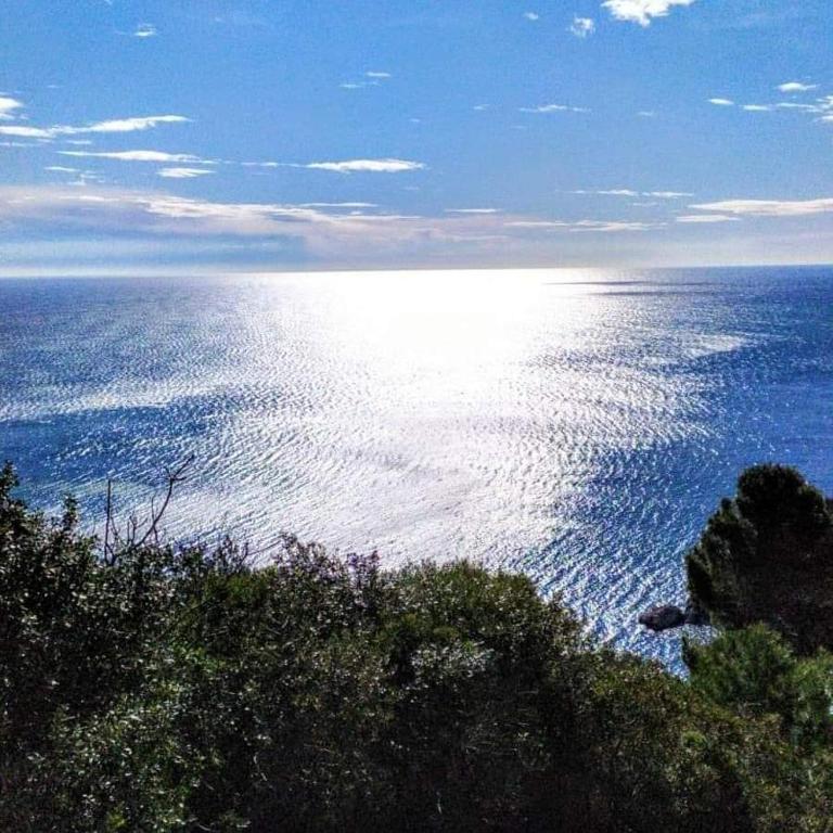 Ariadimare guest house - Monolocale con Vista Mare - 40