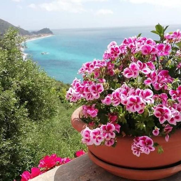 Ariadimare guest house - Monolocale con Vista Mare - 51