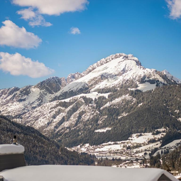 Perle de Savoie - Apt C601 - BO Immobilier- Châtel Multipass 2026 en été en option au tarif de 4euros par jour et par personne - Appartement 3 Chambres - 14