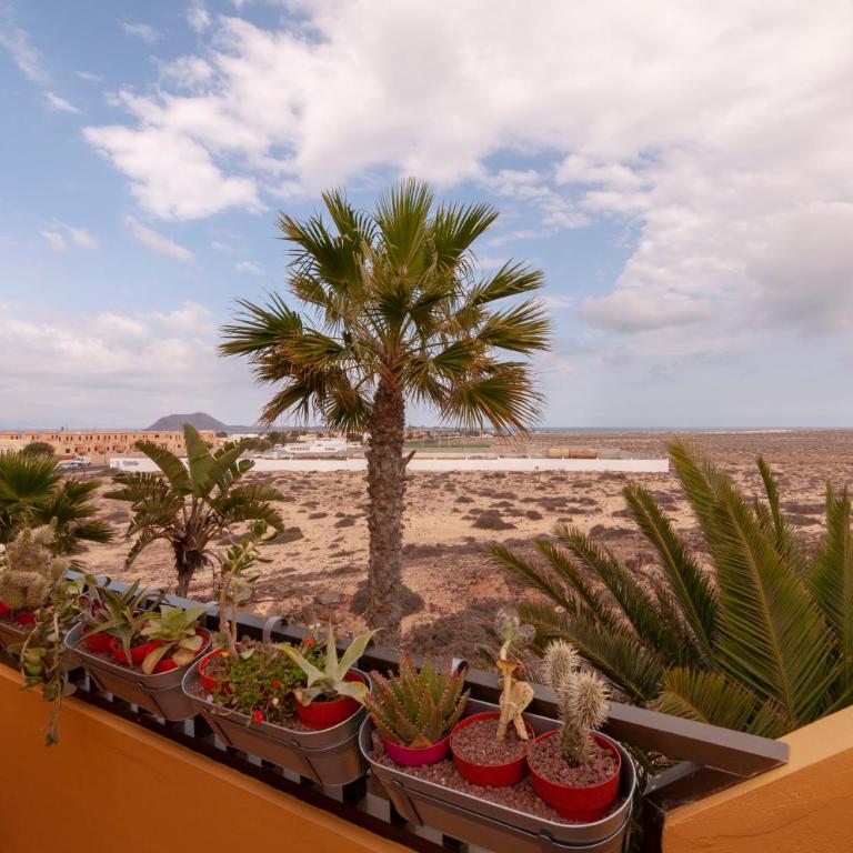 Leonardos - Two-Bedroom Apartment - 18