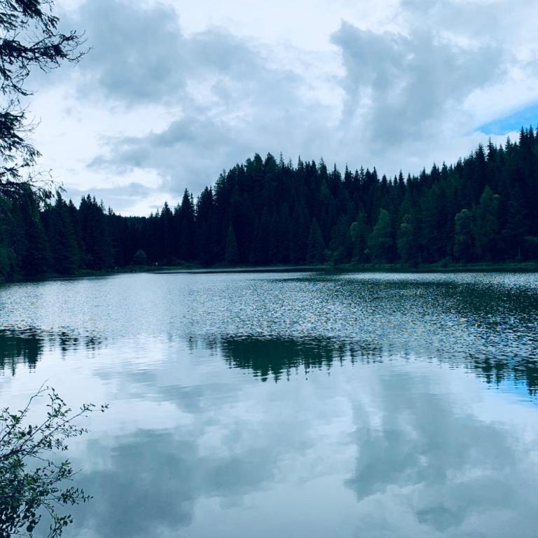 Zirbitz Hütte am Waldrand - Sauna, Kamin, Feuerstelle, Ausblick - Maison 3 Chambres - 29