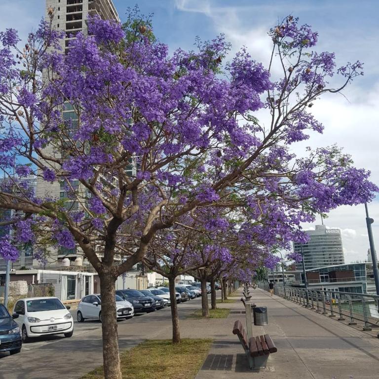Daike Buenos Aires - Apartamento Estudio - 59