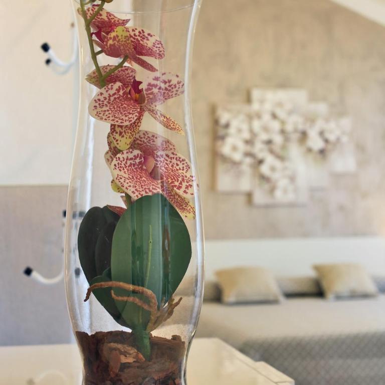Flower Apartments - Appartamento con 1 Camera da Letto - 7