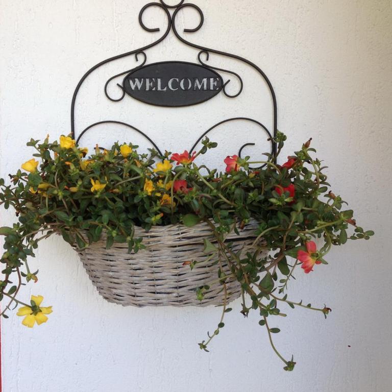Apartment in villa 2 to 4 persons with large private garden Sole - Appartamento - 5