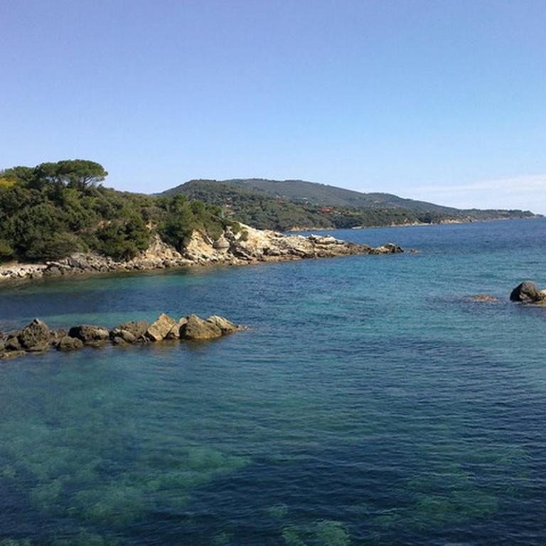 Apartment in villa 2 to 4 persons with large private garden Sole - Appartamento - 27