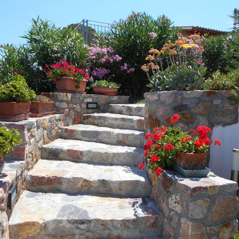 Apartment in villa 2 to 4 persons with large private garden Sole - Appartamento - 4