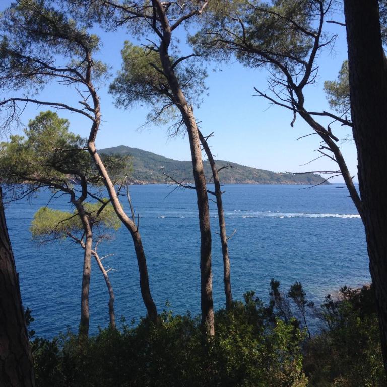 Apartment in villa 2 to 4 persons with large private garden Sole - Appartamento - 26