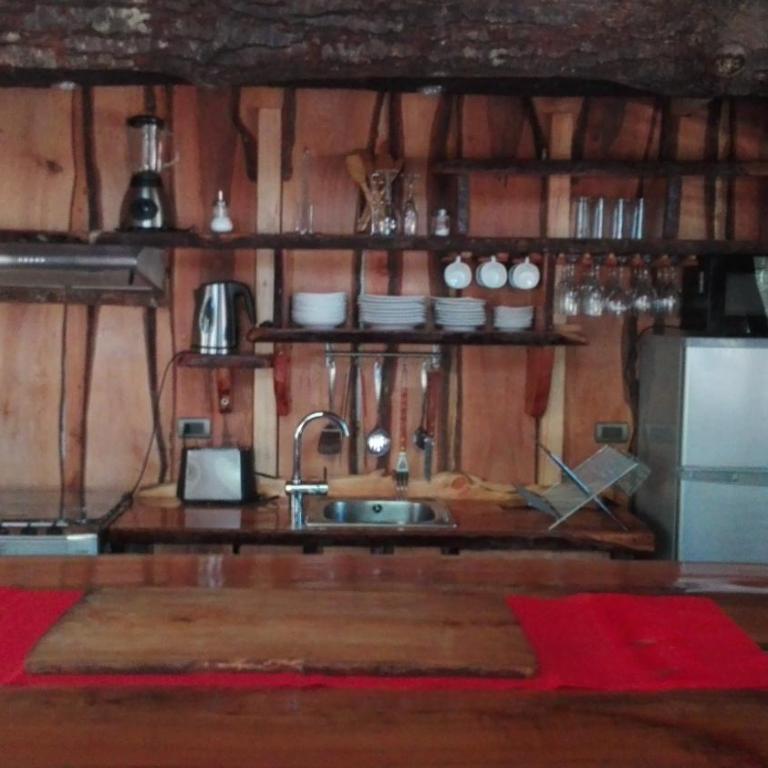 Wonderful rustic cottage with native logs, with river Trancura - Casa - 10
