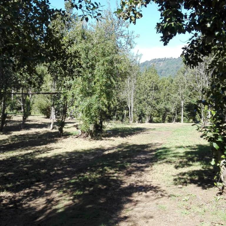 Cabaa rstica 2 maravillosa,con troncos nativos, con orilla de Ro Trancura - Vacation Home - 22