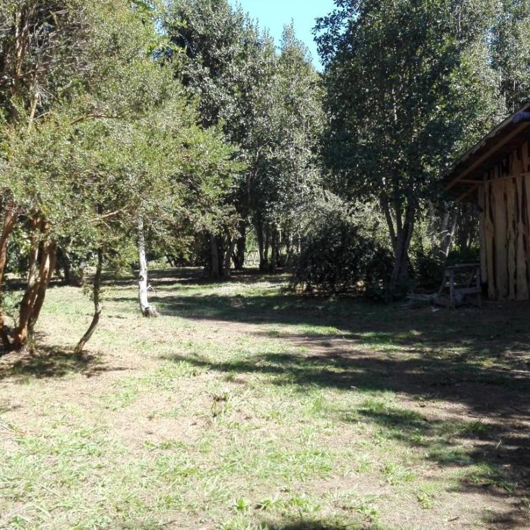 Cabaa rstica 2 maravillosa,con troncos nativos, con orilla de Ro Trancura - Vacation Home - 24