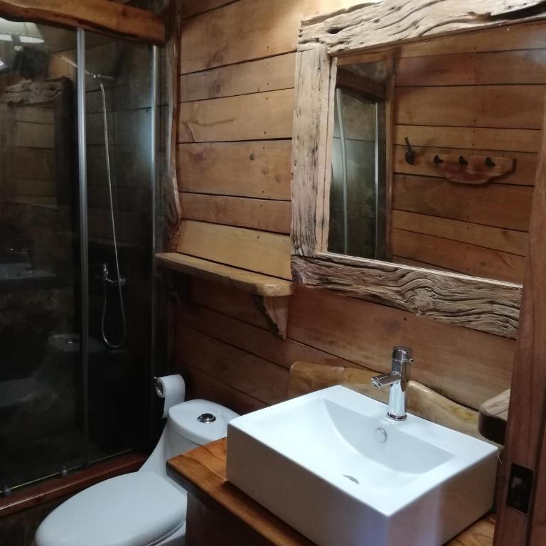 Cabaa rstica 2 maravillosa,con troncos nativos, con orilla de Ro Trancura - Vacation Home - 32