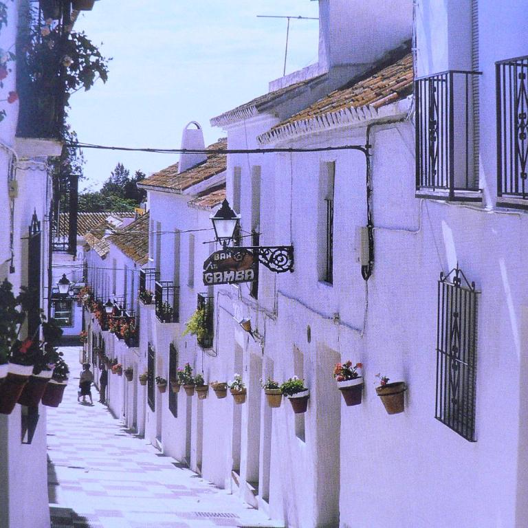 Sun, Beach Spa All The Year beautiful place to enjoy in summer or winter - Apartamento - 30