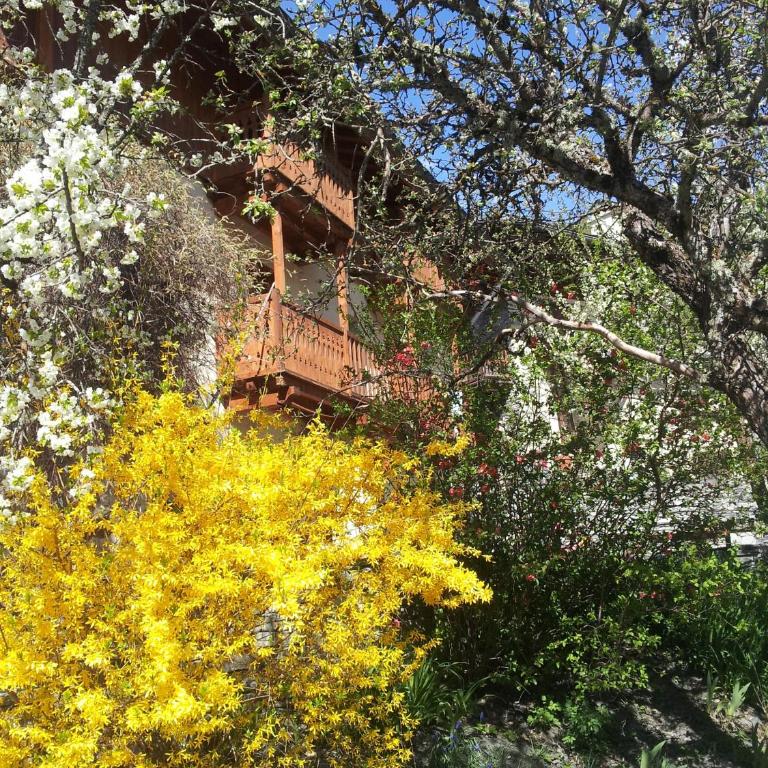 Chalet d'Heïdi - Chalet (6 Adultes) - 31
