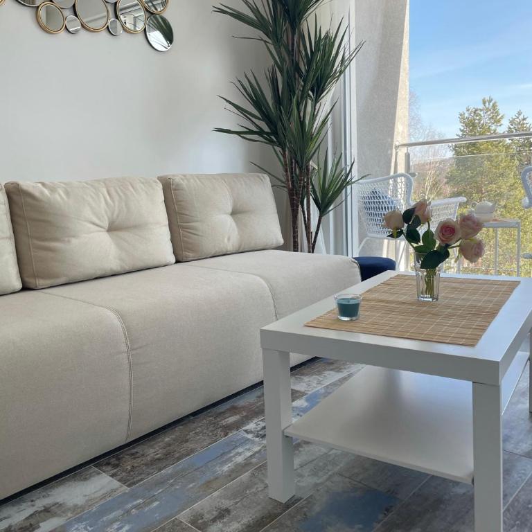 Apartman M Zlatni breg - Apartman sa 1 Spavaćom Sobom - 47
