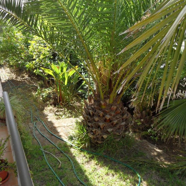 Villa Cyclings Es Tamarells - Three-Bedroom Vacation Home - 34