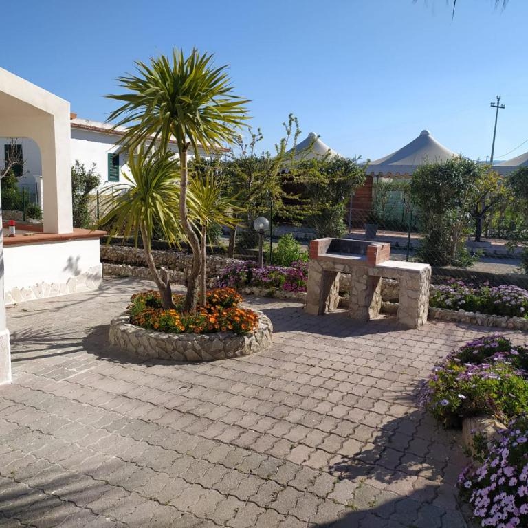 Villini Giovanna Disanti - Villa con 3 Camere da Letto - 19