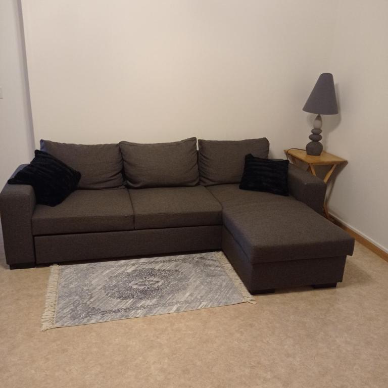 Appartement dans maison à Corbelin proche Walibi - Appartement 1 Chambre - 10