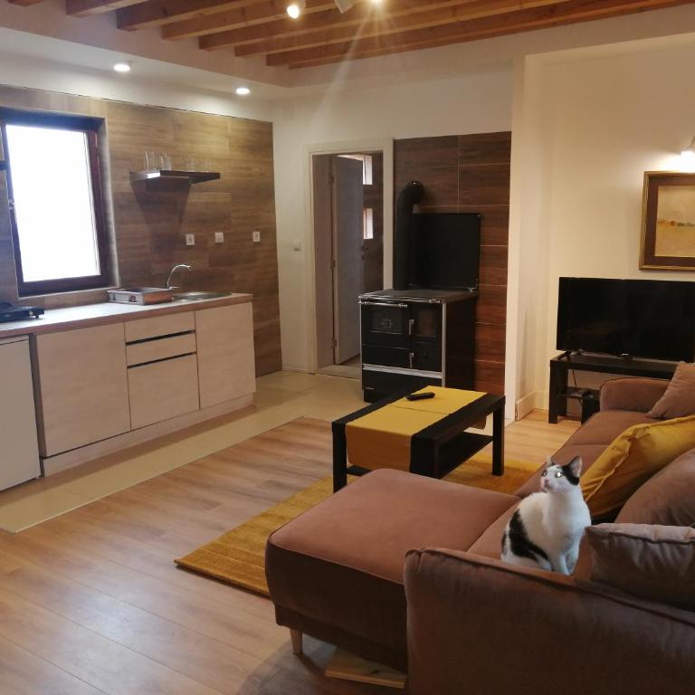 Mountain village - One-Bedroom Apartment - 11