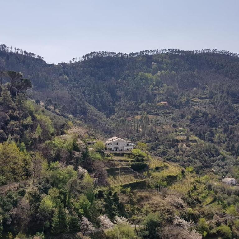 Casa Michelle "Natura e Relax" - Appartamento con 2 Camere da Letto - 33