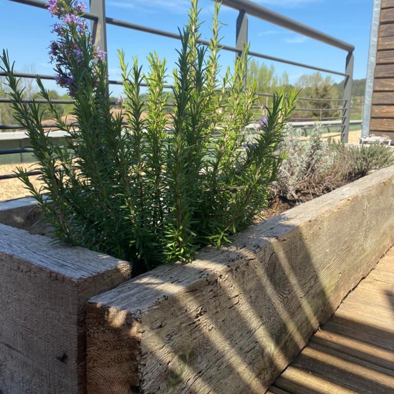 Studio Vert Aix-en-Provence terrasse, piscine, parking - Appartement avec Terrasse - 16