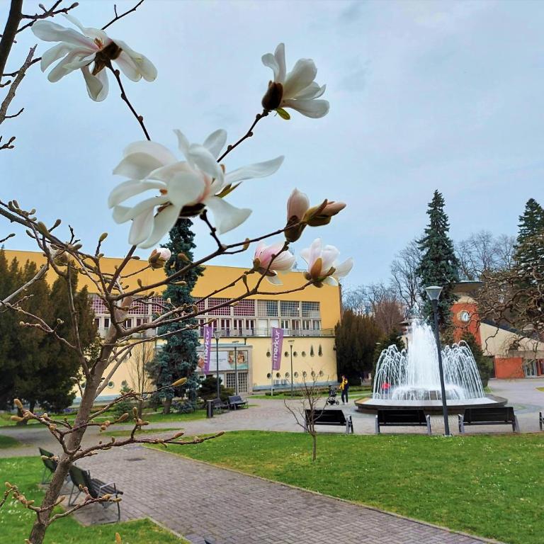 Apartman Modena Lux - Studio Apartman - 28