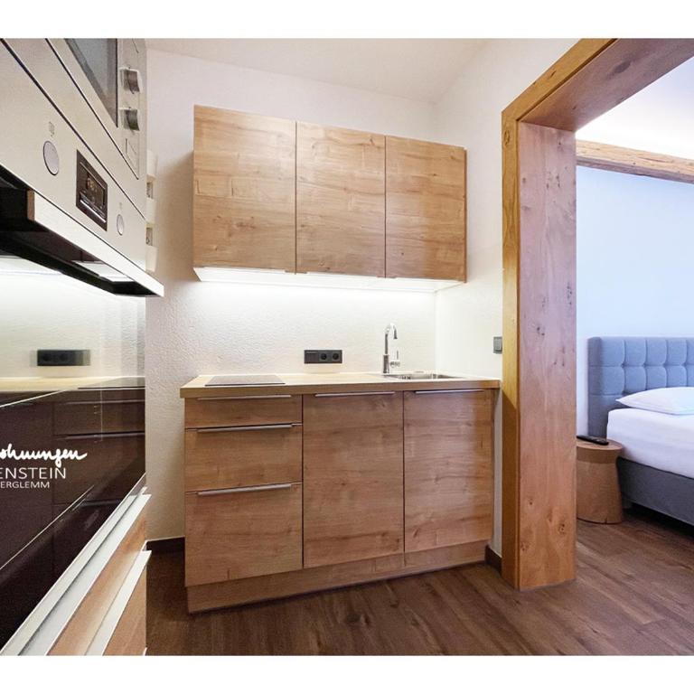 Ferienwohnungen Falkenstein Hinterglemm - Studio-Apartment - 4