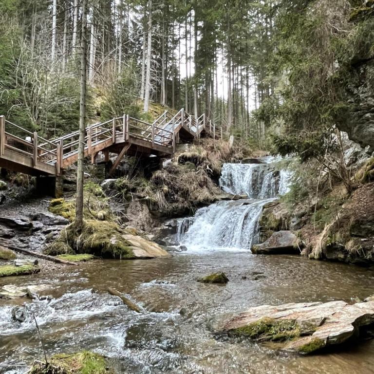 Zirbitz Hütte am Waldrand - Sauna, Kamin, Feuerstelle, Ausblick - Maison 3 Chambres - 17