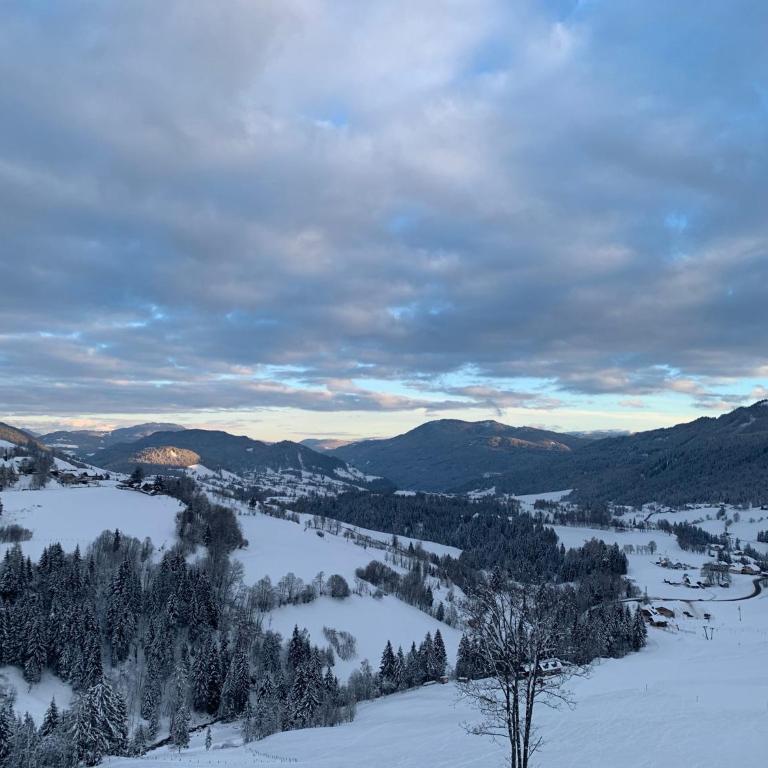 Zirbitz Hütte am Waldrand - Sauna, Kamin, Feuerstelle, Ausblick - Maison 3 Chambres - 27