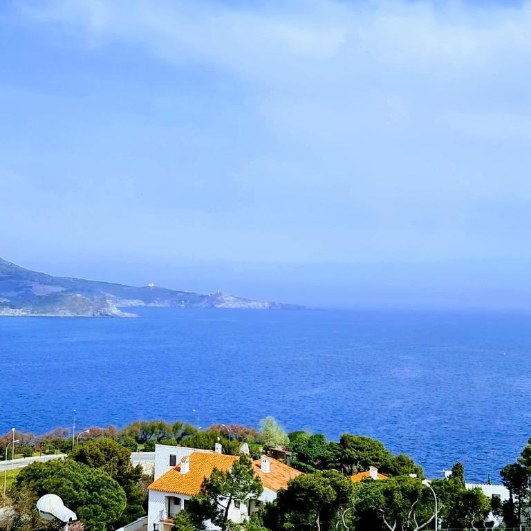 Appartement Banyuls superbe vue sur mer - Appartamento - 9