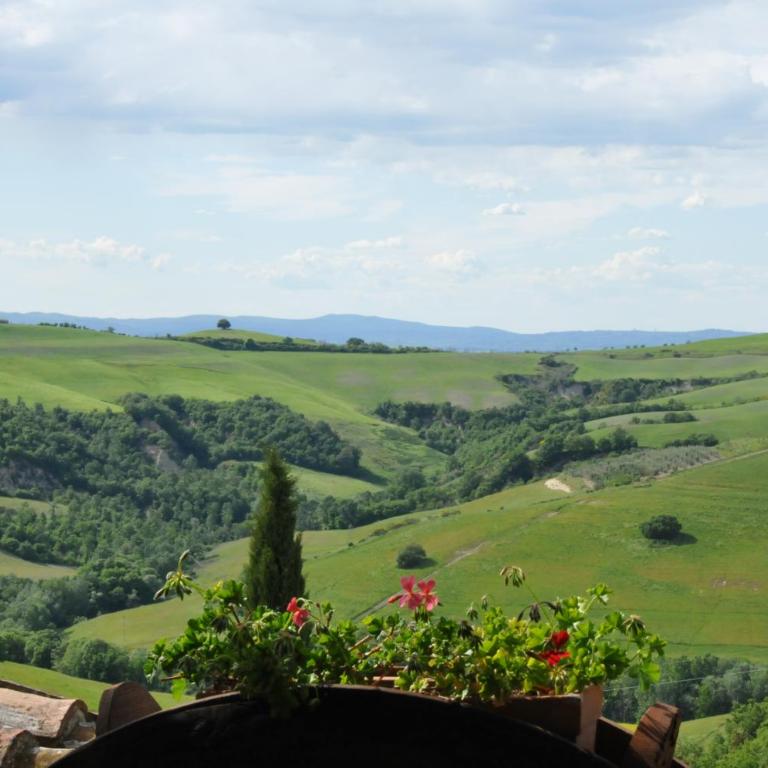 Agriturismo MONSOLE - Montalcino - Appartamento con Vista Giardino - 10
