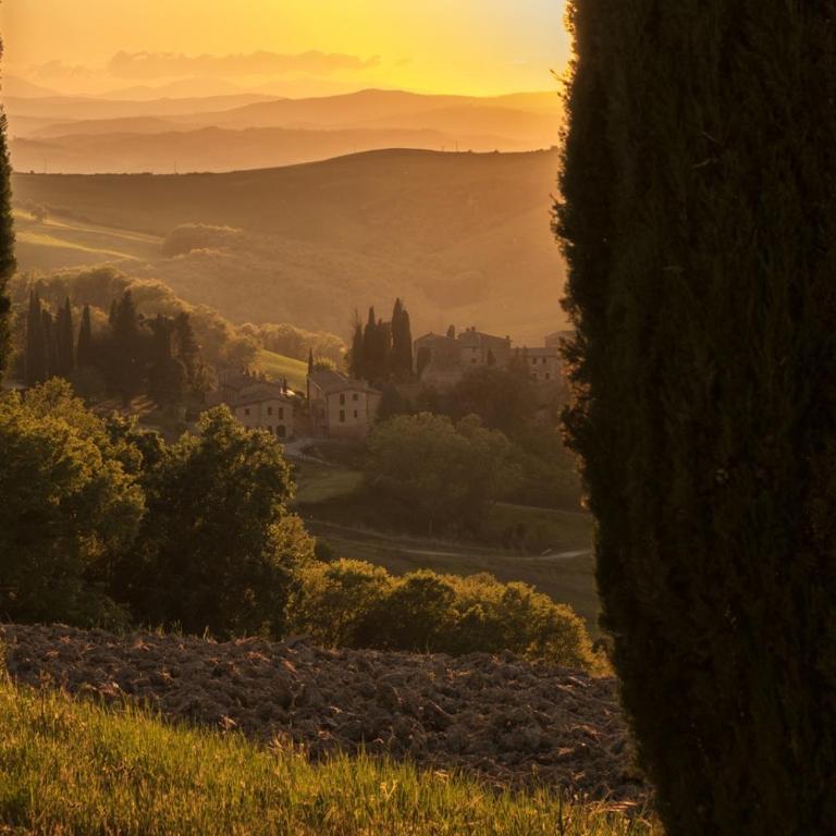 Agriturismo MONSOLE - Montalcino - Appartamento con Vista Giardino - 13