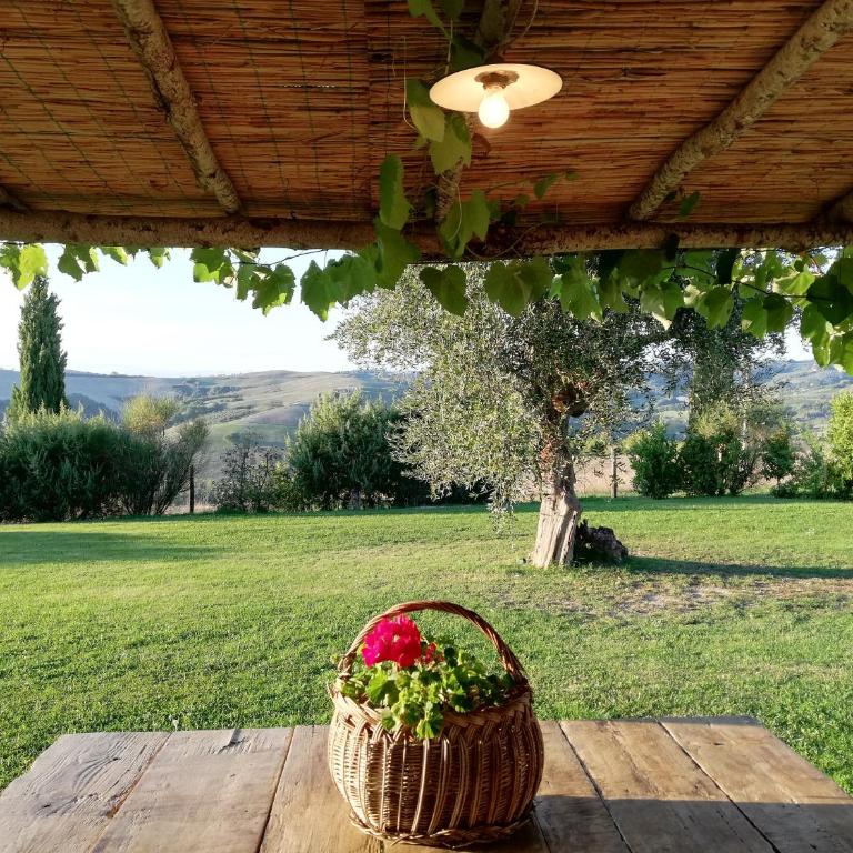 Agriturismo MONSOLE - Montalcino - Appartamento con Vista Giardino - 15