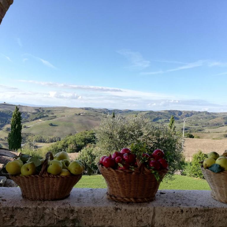 Agriturismo MONSOLE - Montalcino - Appartamento con Vista Giardino - 16
