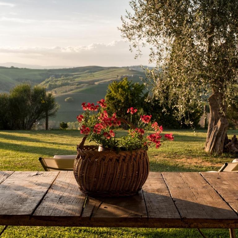 Agriturismo MONSOLE - Montalcino - Appartamento - Piano Terra - 13