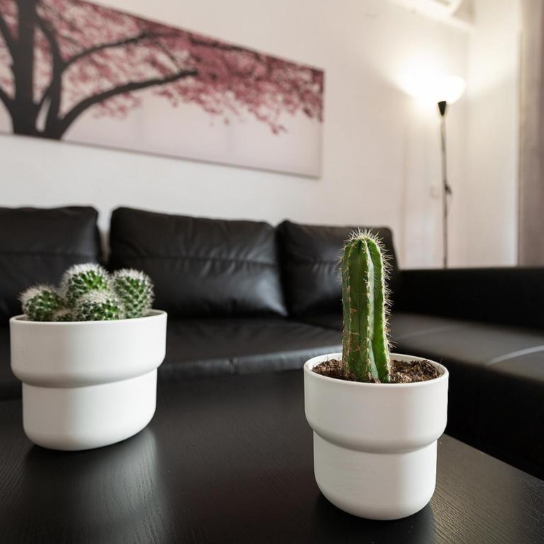 MONKÓ CACTUS - One-Bedroom Apartment - 7