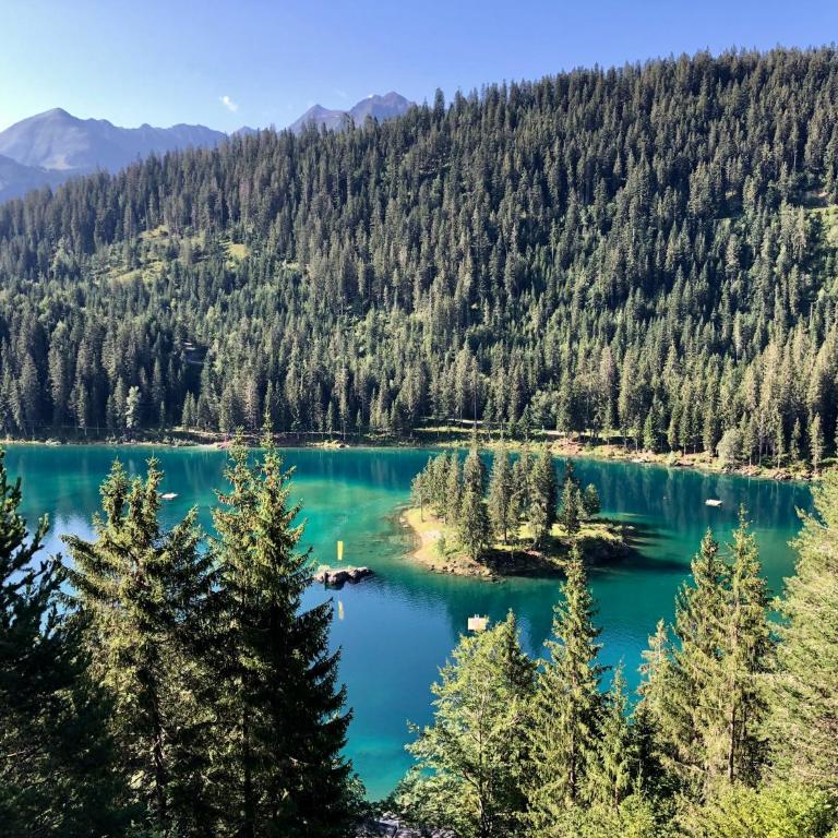 Mira Piz Signina - Wunderbare Dachwohnung mit Blick in die Berge - Apartment mit Blick auf die Berge - 21