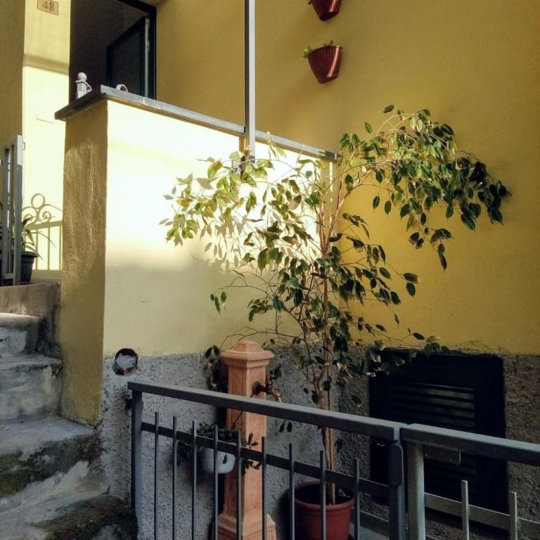 Da Cesare - Appartamento con 1 Camera da Letto - 1
