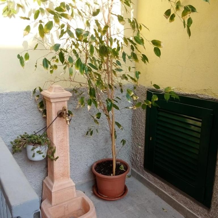 Da Cesare - Appartamento con 1 Camera da Letto - 16