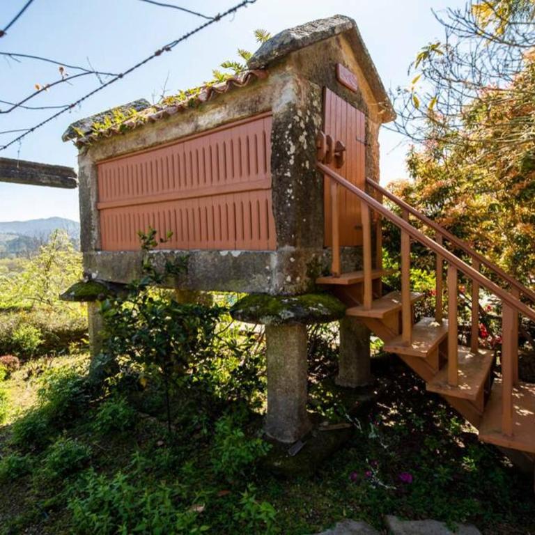 Villa Ponte Bora - Villa con vistas al jardín - 9