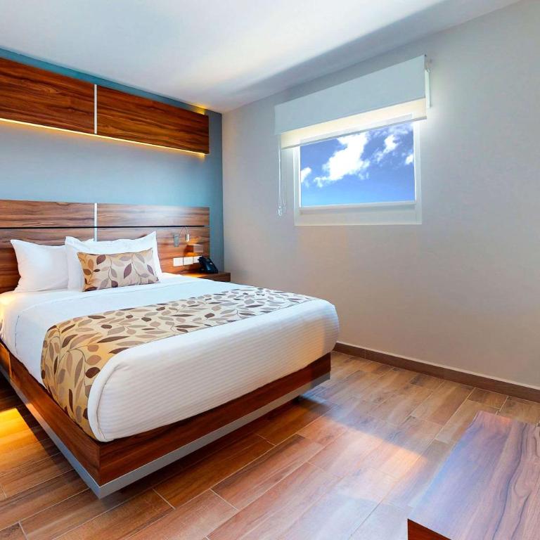 Sleep Inn Queretaro - Queen Room - Non-Smoking - 5