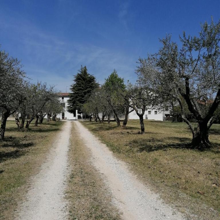AGRITURISMO COLOMBARE TEBOI - Appartamento Attico - 3