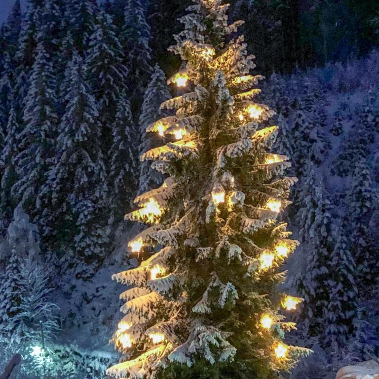 Chalet Schmitten 102 by Chalet Alp Lux - Opposite ski lift - Superior Chalet - 6