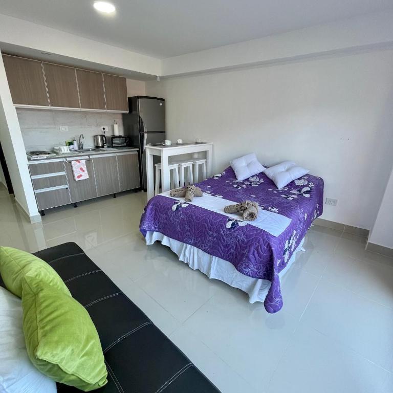 Alvere lll Temporary Apartments Ushuaia - Estudio con cama extragrande - 1