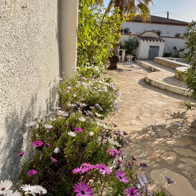VILLA VEGAS - piscine privée - Villa - 11